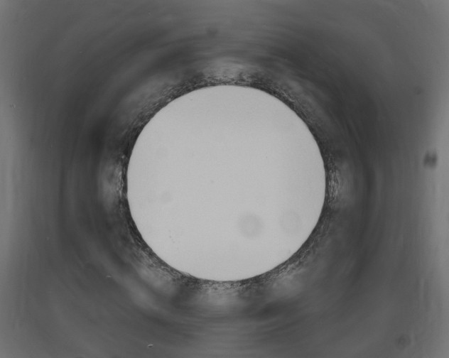 X0000093720820200710160748