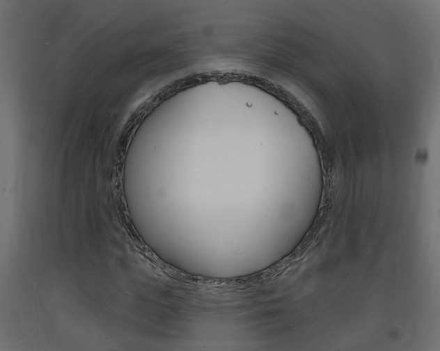 X0000093720823200710160748