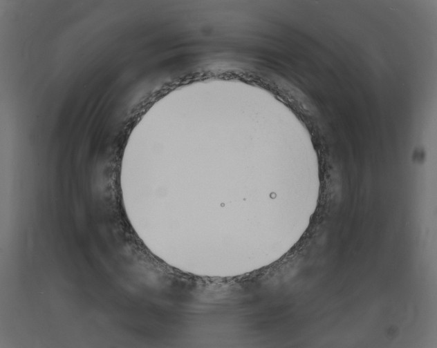 X0000093720824200710160748