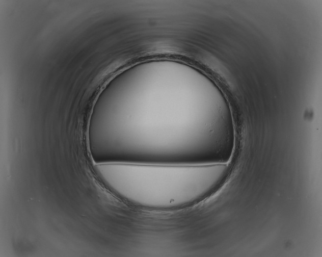 X0000093720825200710160748