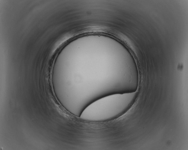 X0000093720827200710160748