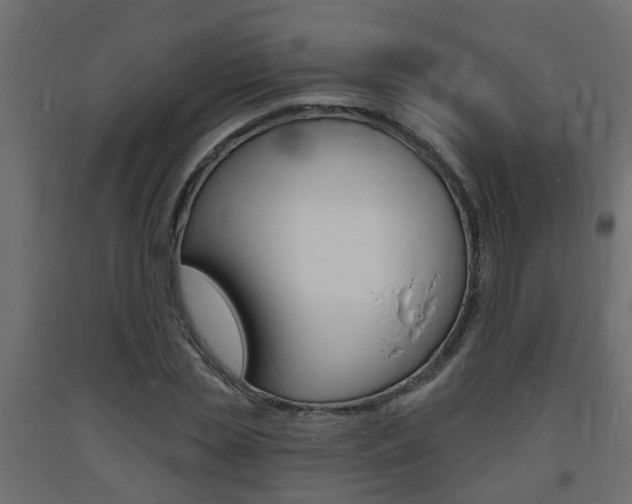 X0000093720829200710160749
