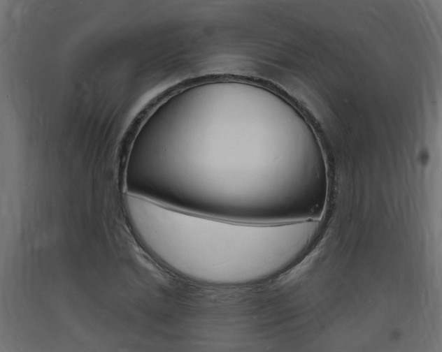 X0000093720830200710160749