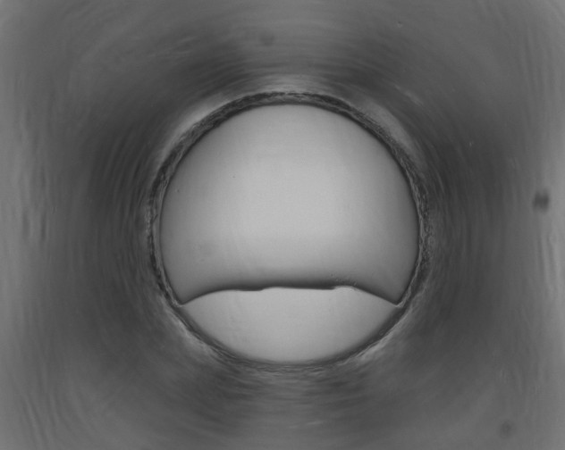 X0000093720831200710160749