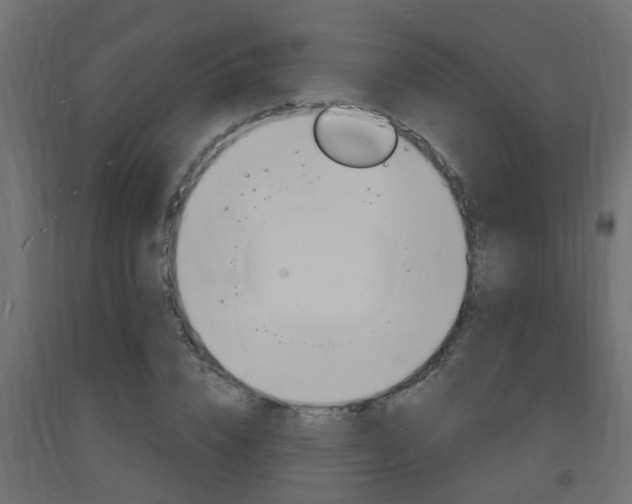 X0000093720832200710160749