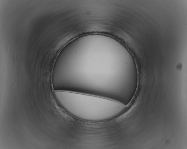 X0000093720833200710160749