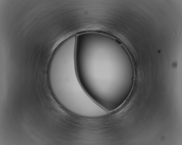 X0000093720834200710160749