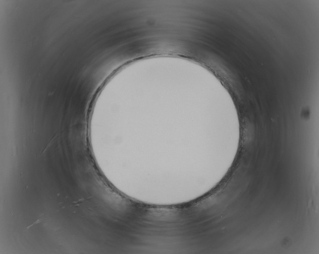 X0000093720836200710160749