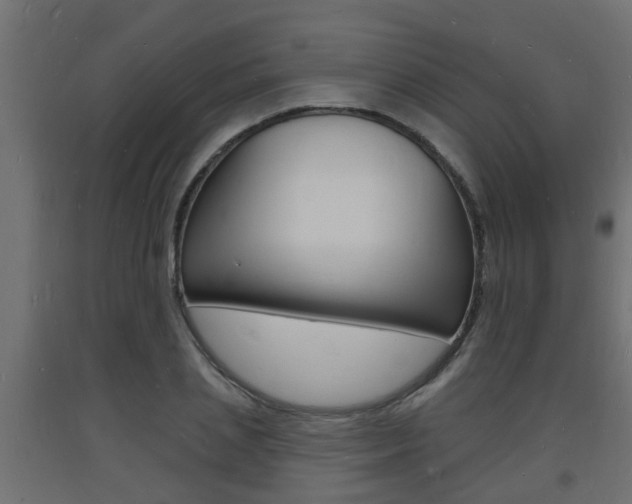 X0000093720837200710160749