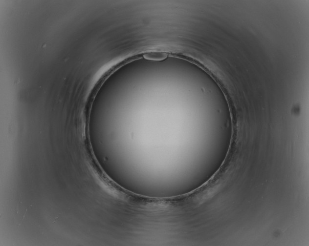 X0000093720838200710160749