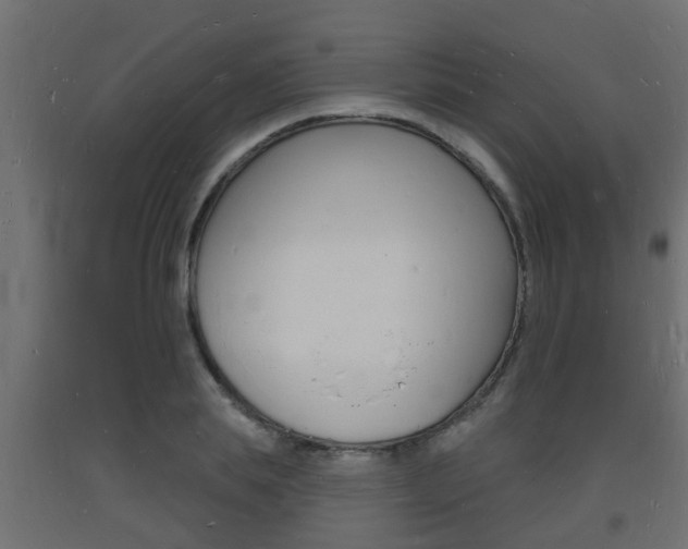 X0000093720839200710160749