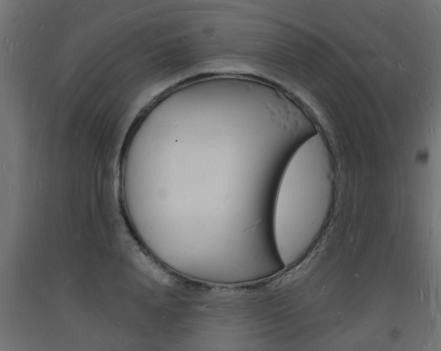 X0000093720840200710160749