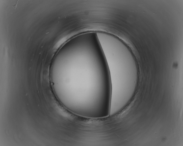 X0000093720842200710160749