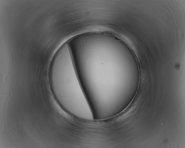 X0000093720843200710160749