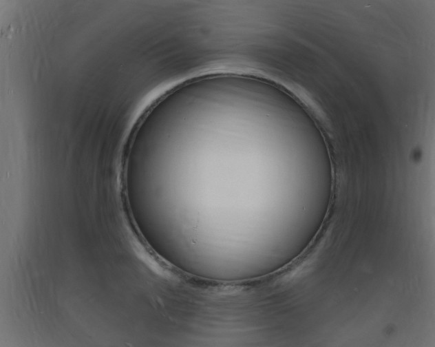 X0000093720846200710160749
