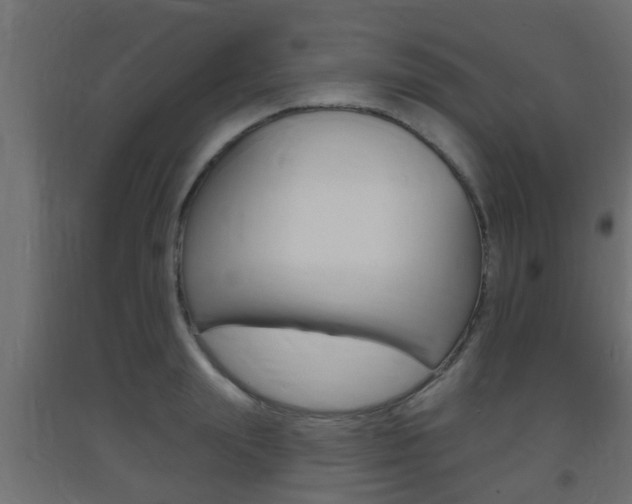 X0000093720847200710160749