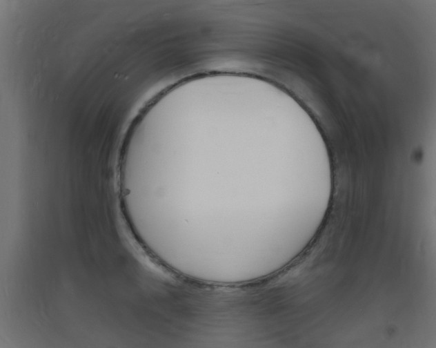 X0000093720848200710160749