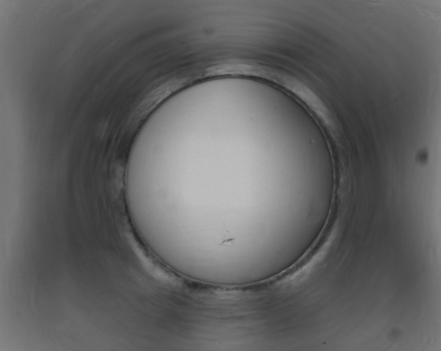 X0000093720849200710160749