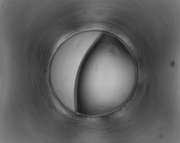 X0000093720850200710160749