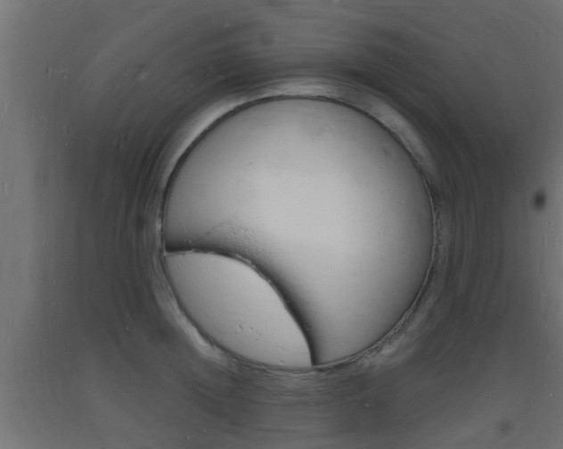 X0000093720852200710160749
