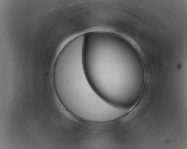 X0000093720854200710160749