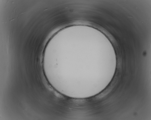 X0000093720856200710160749