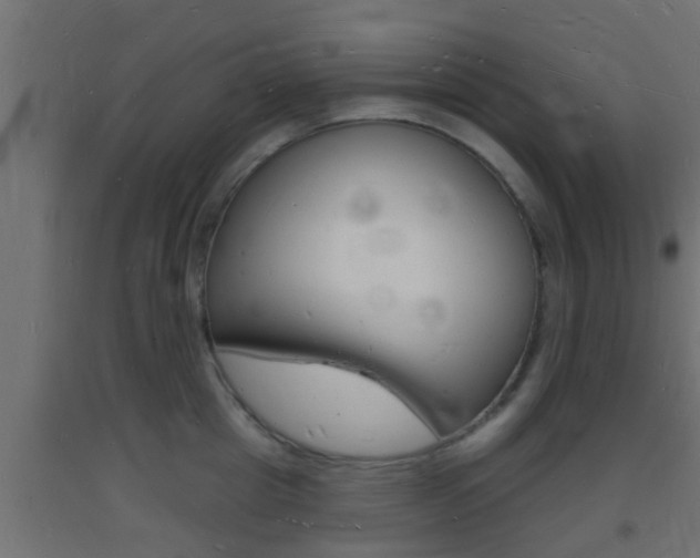 X0000093720857200710160749