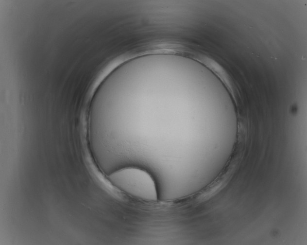 X0000093720859200710160749