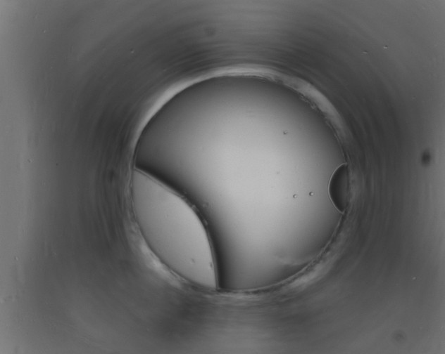 X0000093720860200710160749