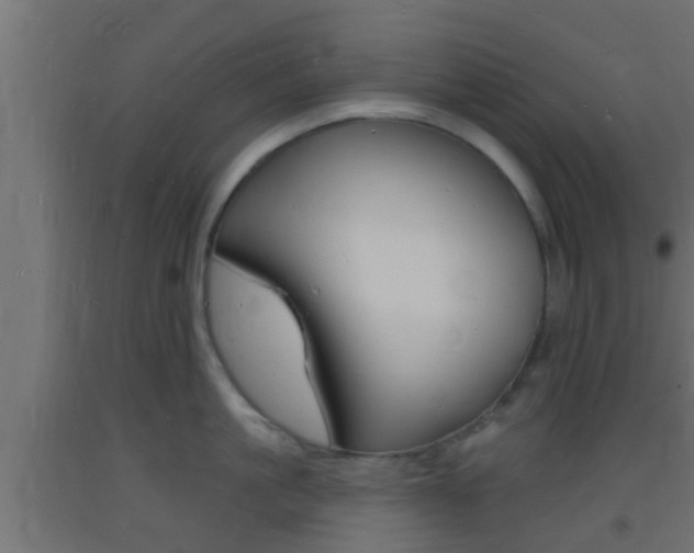 X0000093720861200710160749