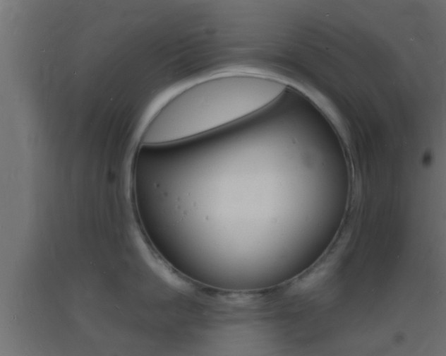 X0000093720862200710160749