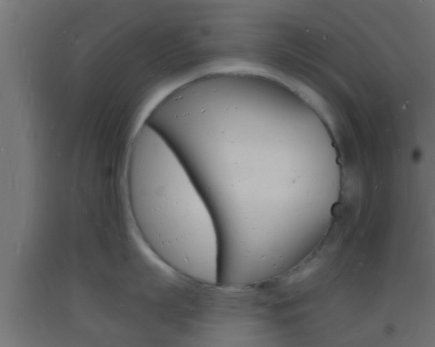 X0000093720863200710160749