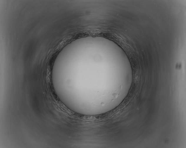 X0000093720866200710160748