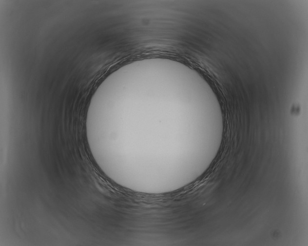 X0000093720868200710160748
