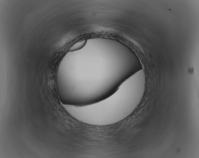 X0000093720869200710160748