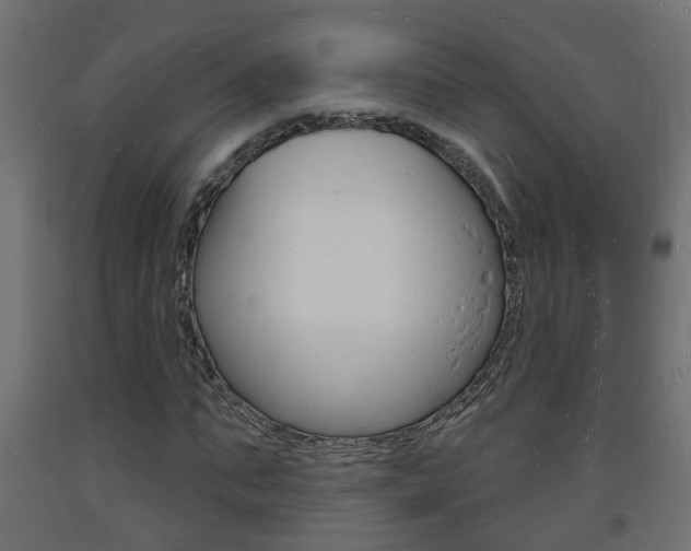 X0000093720871200710160748