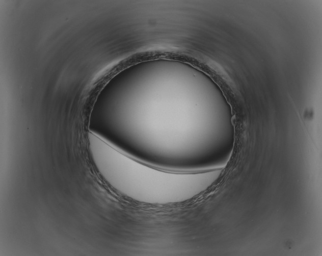X0000093720872200710160748
