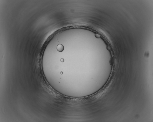 X0000093720875200710160748