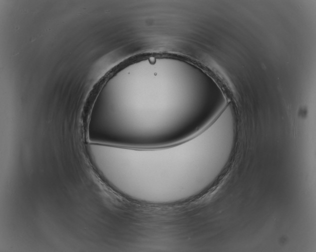 X0000093720876200710160748