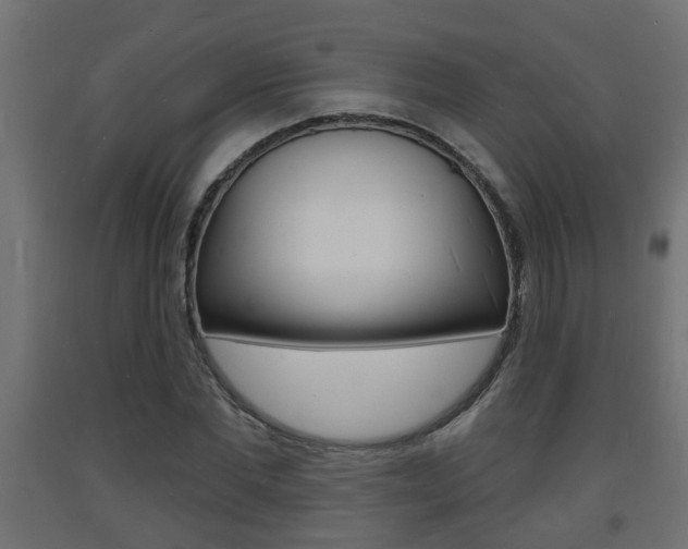 X0000093720877200710160748