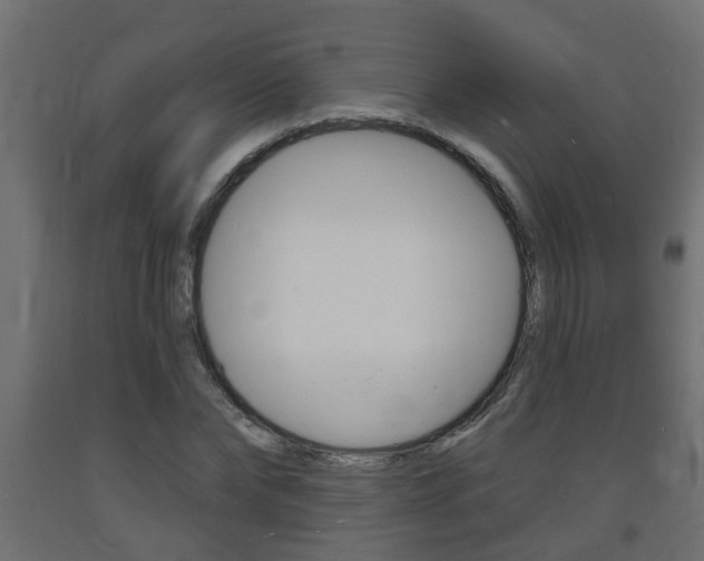 X0000093720878200710160748