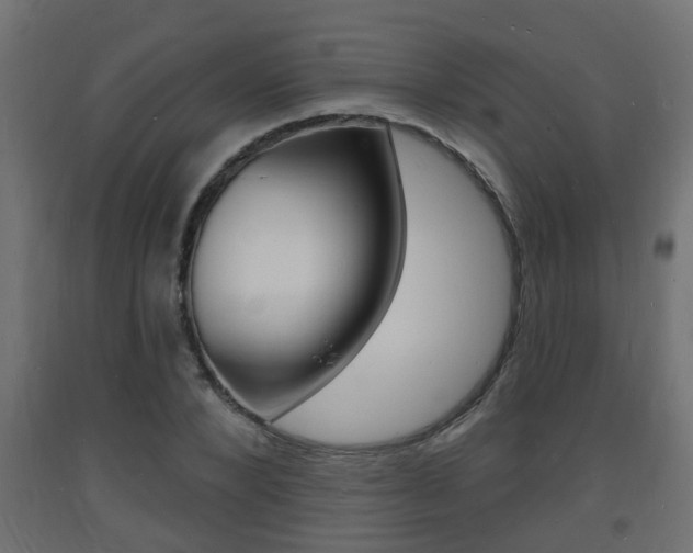 X0000093720880200710160748