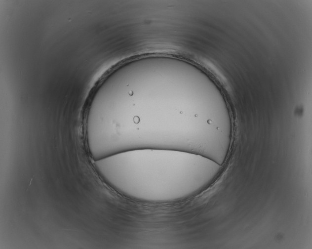X0000093720883200710160748