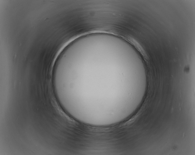 X0000093720884200710160748