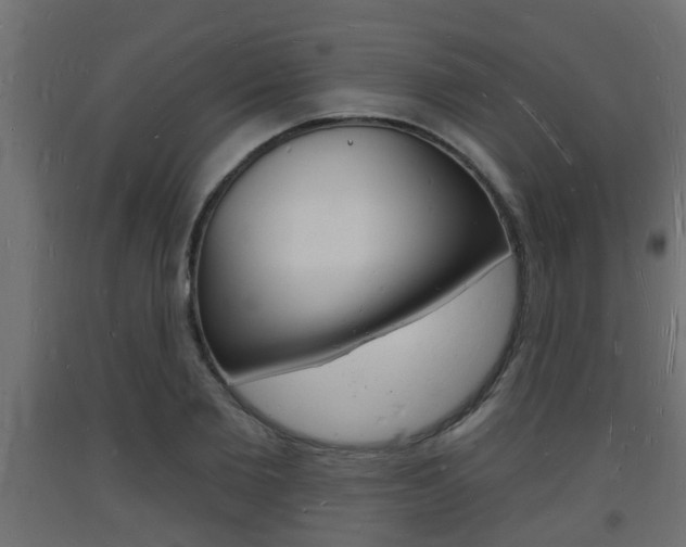 X0000093720885200710160748