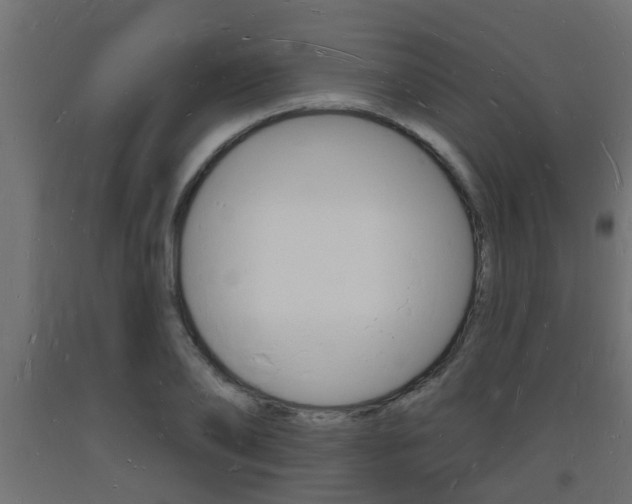 X0000093720886200710160748