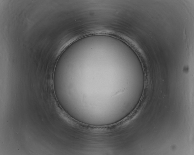X0000093720889200710160748