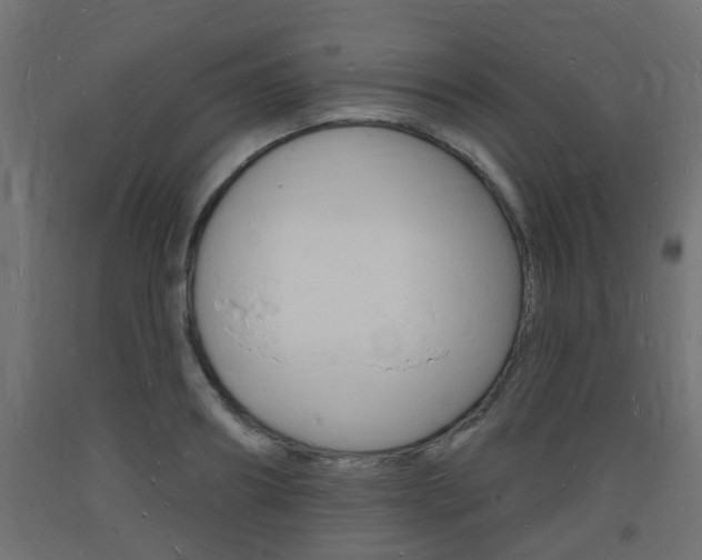 X0000093720890200710160748