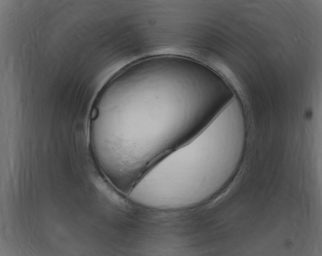 X0000093720892200710160748