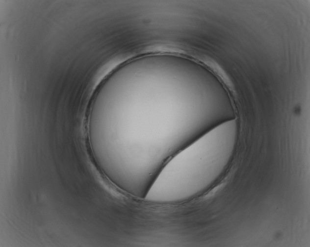 X0000093720893200710160748